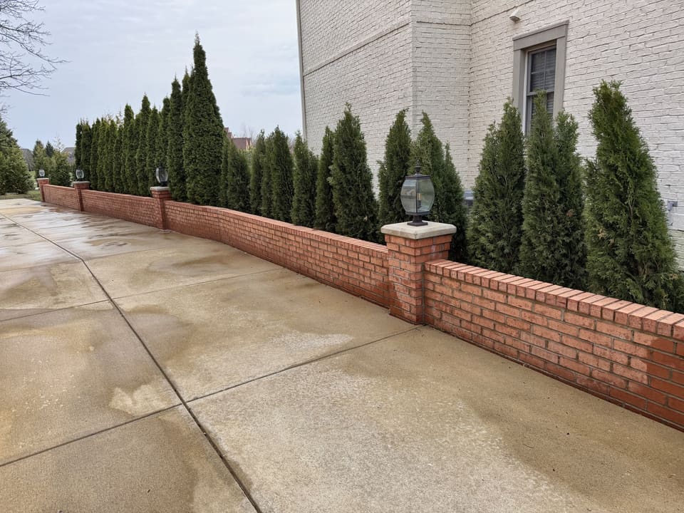 Concrete drive along a red brick wall and evergreens after washing