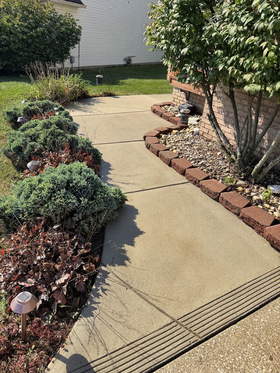 Curved concrete walkway through landscaped beds after pressure washing